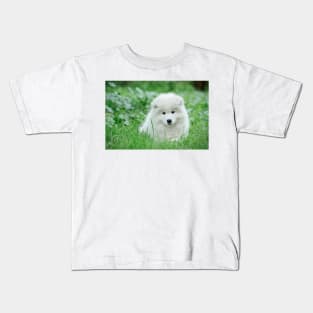 Samoyed puppy portrait Kids T-Shirt